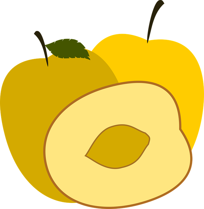 Plum Yellow Plum Plums Fruit Yellow - Plum Clipart (702x720), Png Download