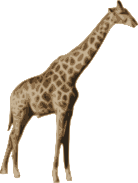 Mammal Clipart Zoo Animal - Jerapah Png Transparent Png (483x640), Png Download