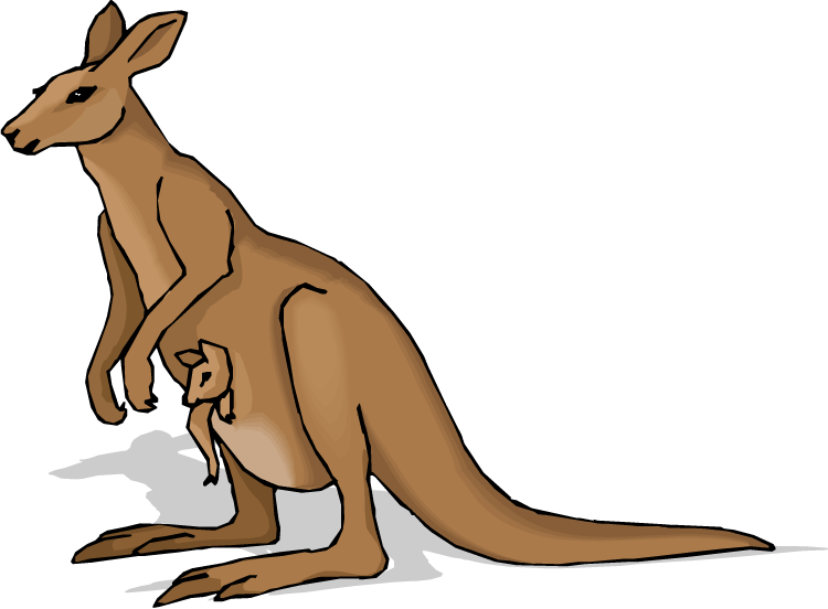 Kangaroo Clip Art Beer Free Clipart Images - Hur Ritar Man En Känguru - Png Download (750x552), Png Download