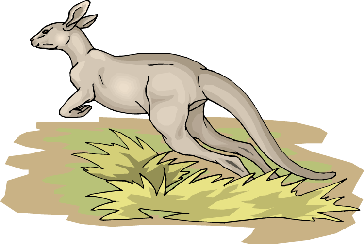 Jumping Kangaroo - Kangaroo Clipart (750x504), Png Download