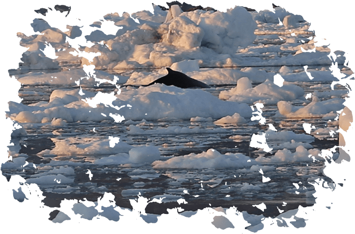 Pictures By Aladdin - Snow Clipart (725x479), Png Download