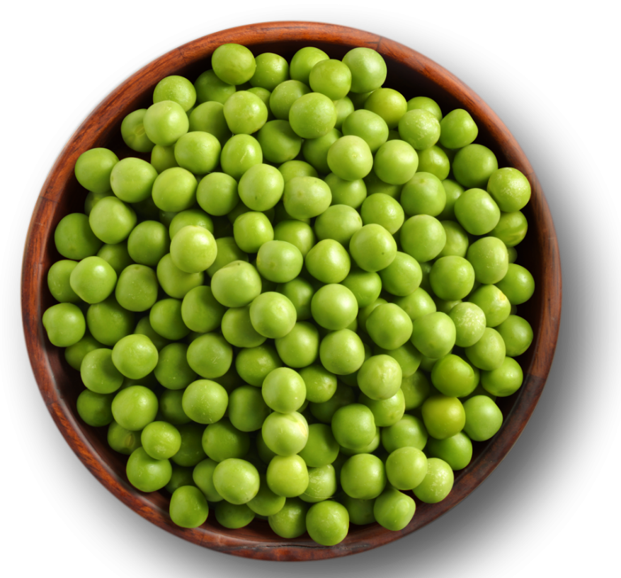 Pea Png Hd Image - Pea Protein Clipart (877x817), Png Download