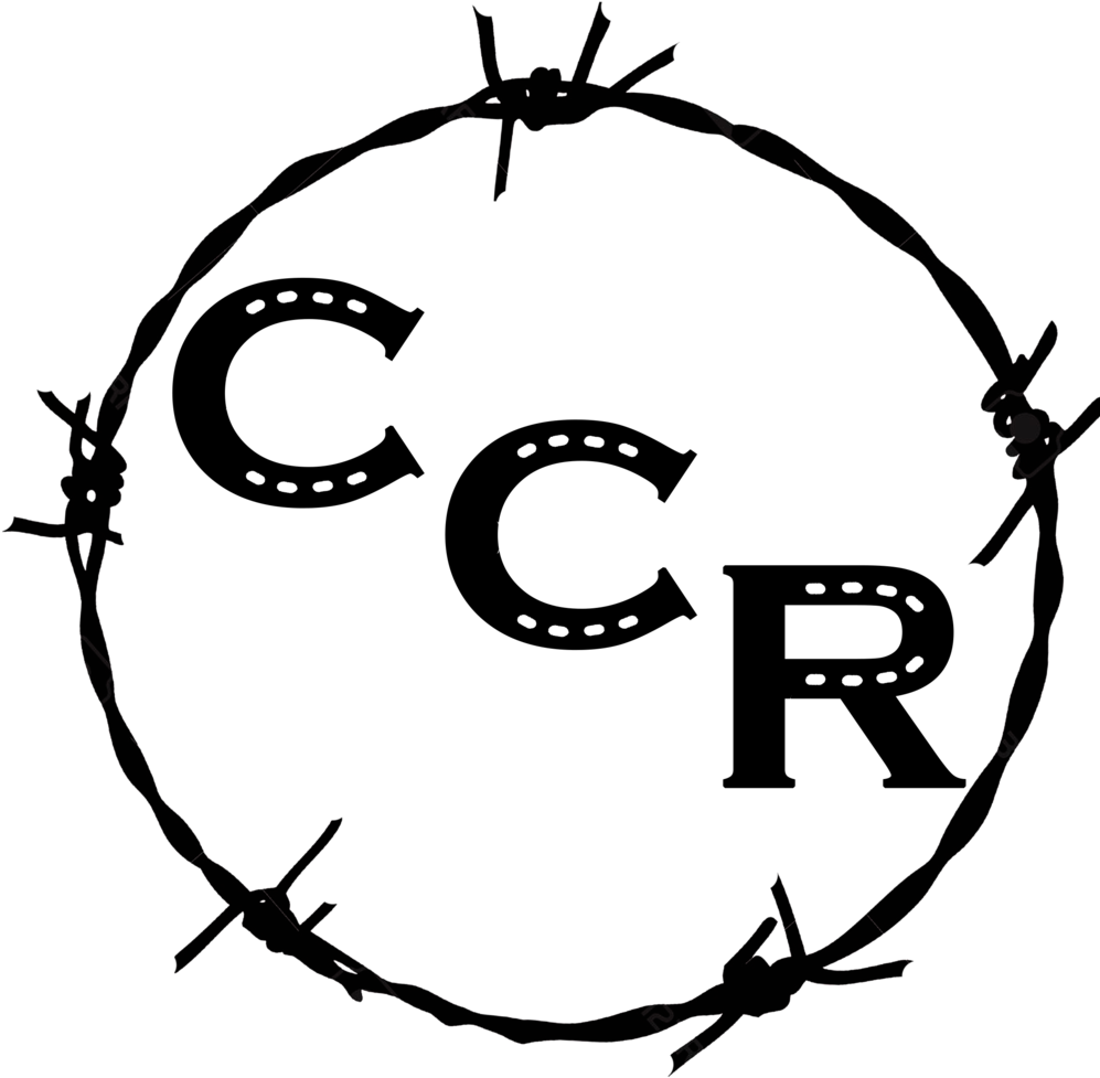 Circle Clipart (1000x995), Png Download