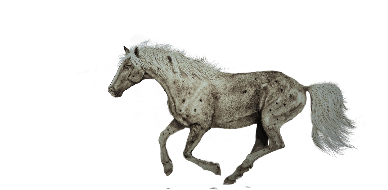 Horse Running Painting Art Png Image - Digital Horse Running Clipart (1280x658), Png Download