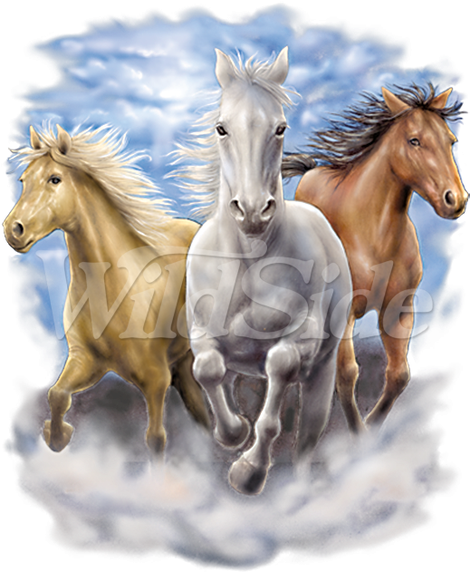3 Running Horses - 3 Horses Clipart (675x675), Png Download