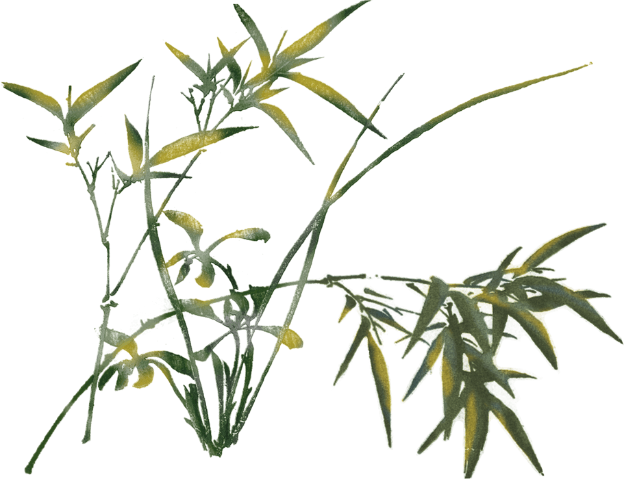 De'medici Classical Acupuncture - Grass Clipart (911x700), Png Download