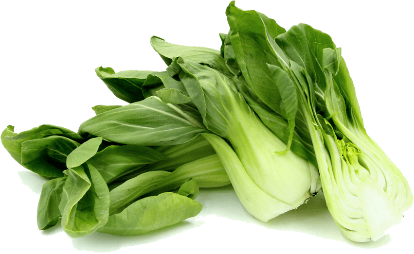 Free Png Bok Choy Png Images Transparent - Bok Choy Transparent Clipart (851x523), Png Download