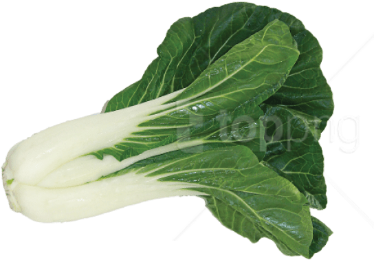 Free Png Bok Choy Image Png Images Transparent - Bok Choy Transparent Background Clipart (850x396), Png Download