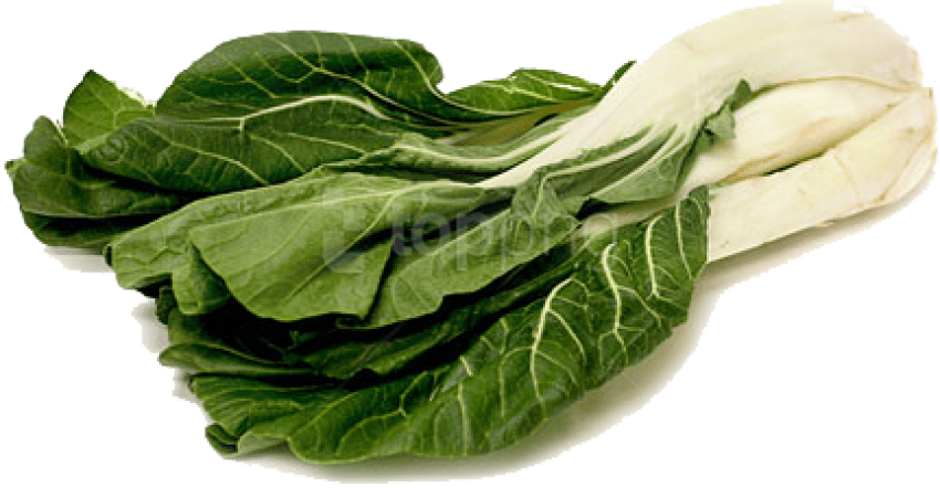 Free Png Download Bok Choy Png File Png Images Background - Bok Choy No Background Clipart (850x442), Png Download