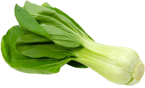 Bok Choy - Arugula Clipart (800x533), Png Download