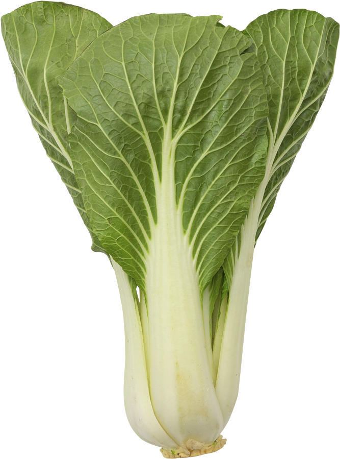 Chard Clipart (694x998), Png Download