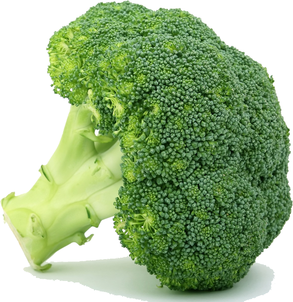 Bok Choy/pak Choi - Objects With Green Color Clipart (1920x1252), Png Download