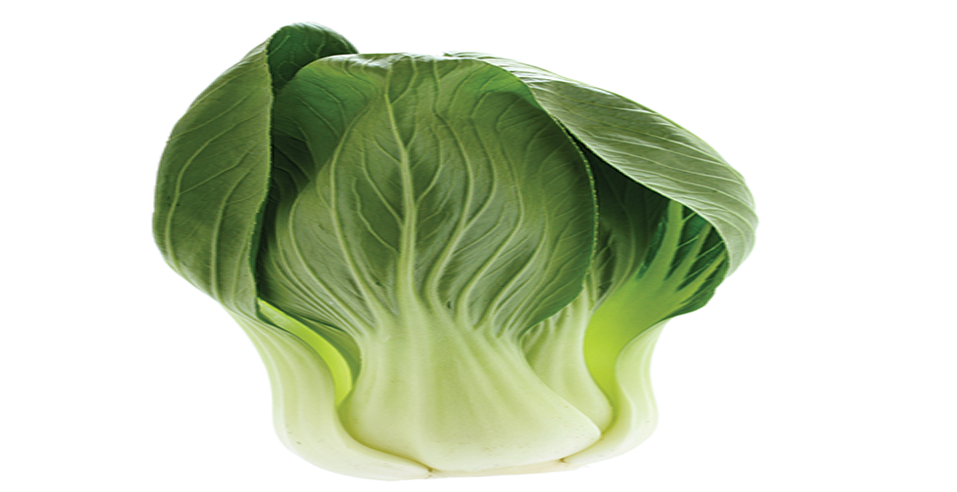 Brussels Sprout Clipart (1024x500), Png Download
