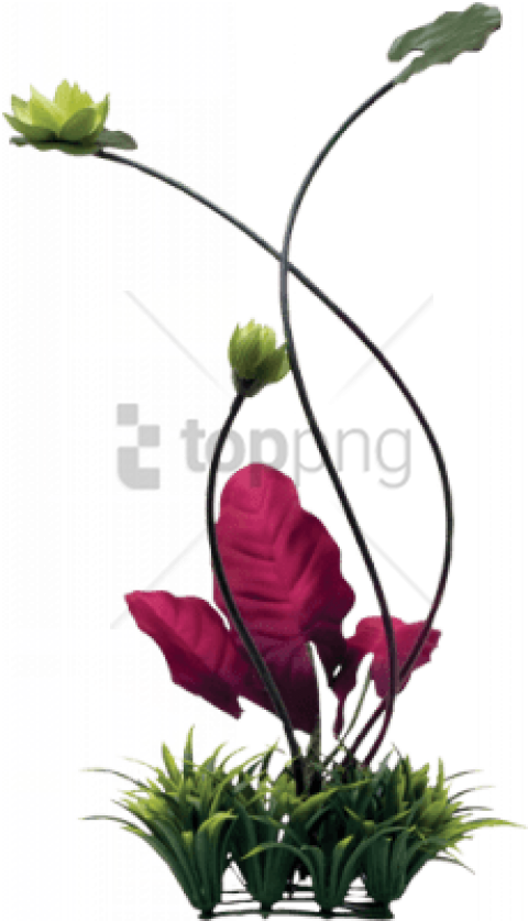 Free Png Fluval Chi Lily Pad And Plant Grass Ornament - Fluval Chi Aquarium Clipart (480x837), Png Download
