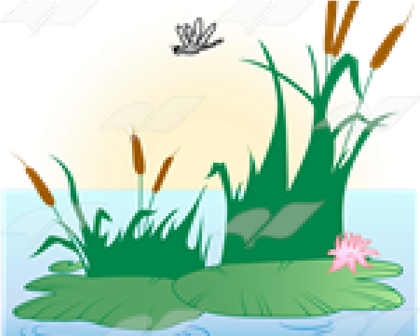 Lily Pad Clipart Pond Scene - Illustration - Png Download (640x480), Png Download