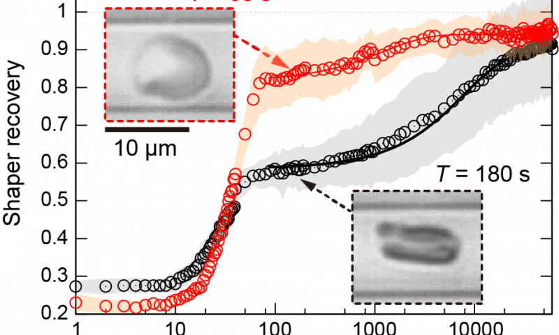 Resilient Red Blood Cells Need Fuel To Adapt Their - Plot Clipart (800x480), Png Download