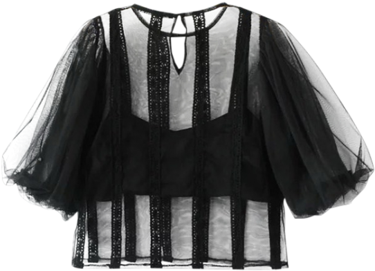 Zaful Womens See-through Lace Trim Blouse - Blouse Clipart (558x744), Png Download