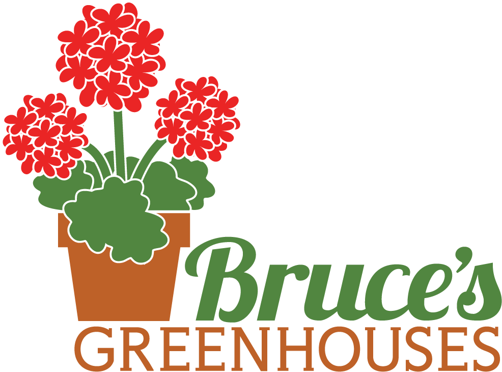 Bruce's Greenhouses - Bruce's Greenhouse Clipart (1000x800), Png Download