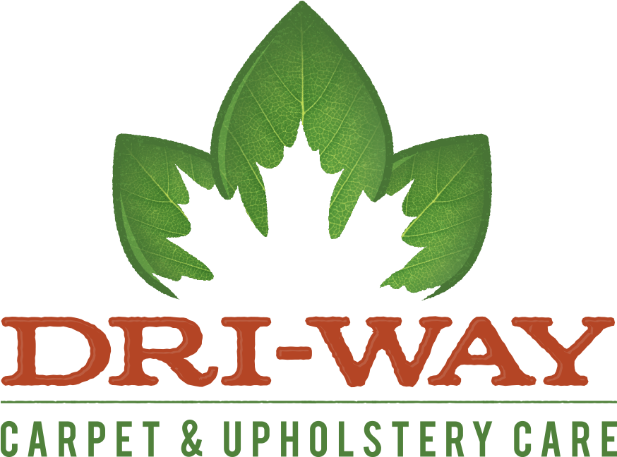 Plane Clipart (917x682), Png Download