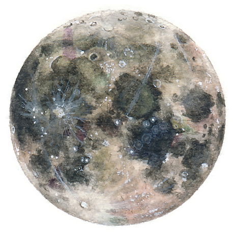 Moon Clipart Watercolor - Lorraine Loots 9th June - Png Download (1182x1182), Png Download