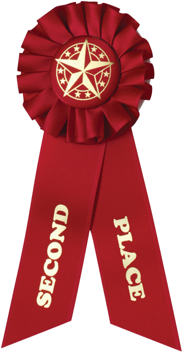 Transparent Ribbons Participation Second Place Ribbon Png Clipart Large Size Png Image Pikpng Transparent Ribbons Participation Second Place Ribbon Png Clipart Large Size Png Image Pikpng