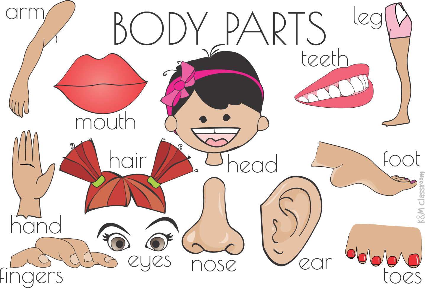 Ear Clip Body Part - Body Parts Flashcards - Png Download (1437x974), Png Download
