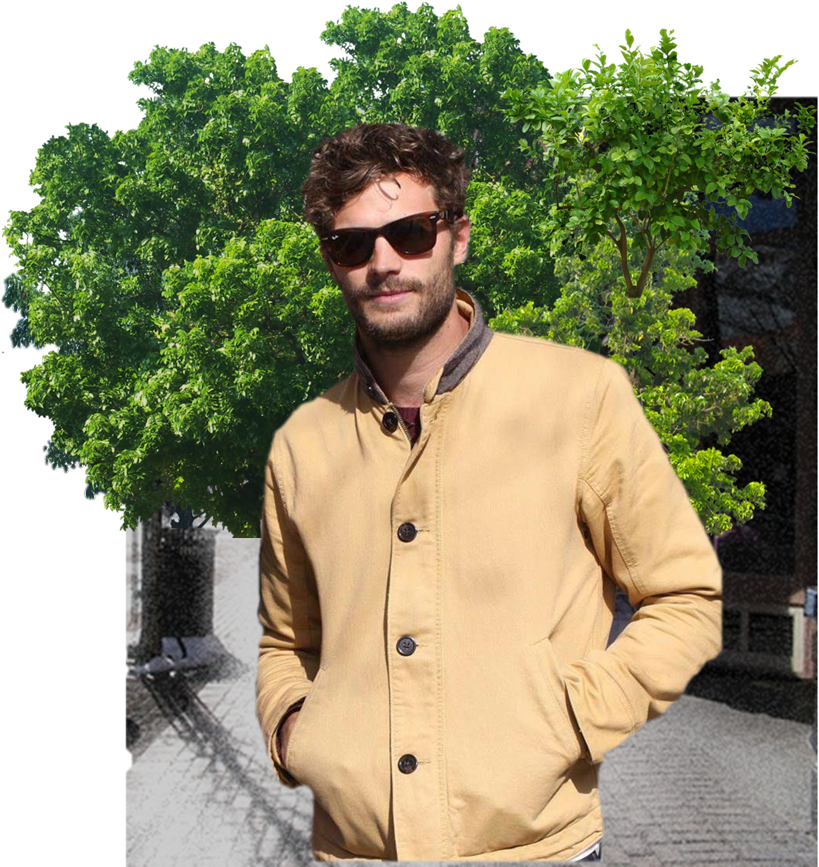 Jamie Dornan - Arboles En Elevacion Png Clipart (1174x1220), Png Download