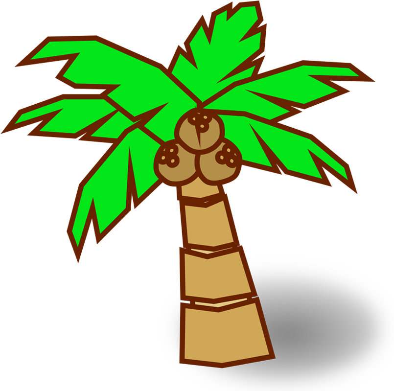 Green Coconut Clipart - Png Download (1280x800), Png Download