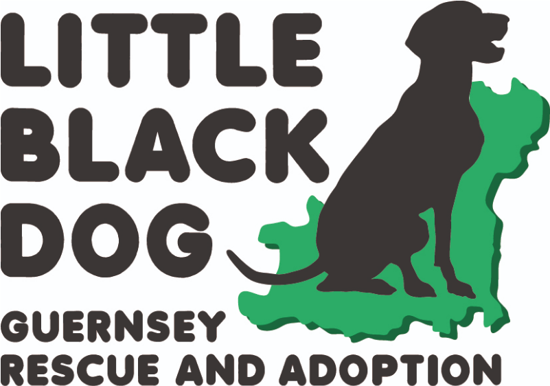 Little Black Dog, Guernsey - Dog Clipart (937x937), Png Download