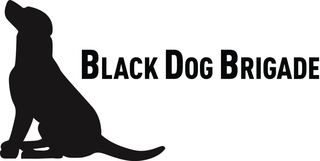 Recovery Can Take Up To A Couple Of Months - Sitting Dog Silhouette Clipart (1024x517), Png Download