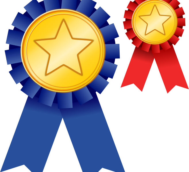 Download Pleasing First Place Ribbon Clipart - Png Download (657x600), Png Download