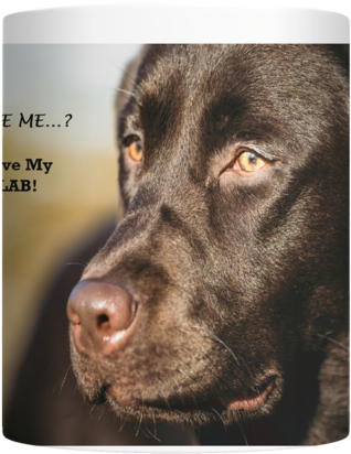 Love My Chocolate Lab Best Mug Ever For Labrador Lovers - Labrador Retriever Clipart (600x600), Png Download