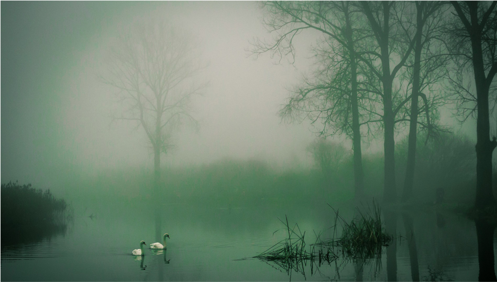 Score 50% - Mist Clipart (1000x1000), Png Download