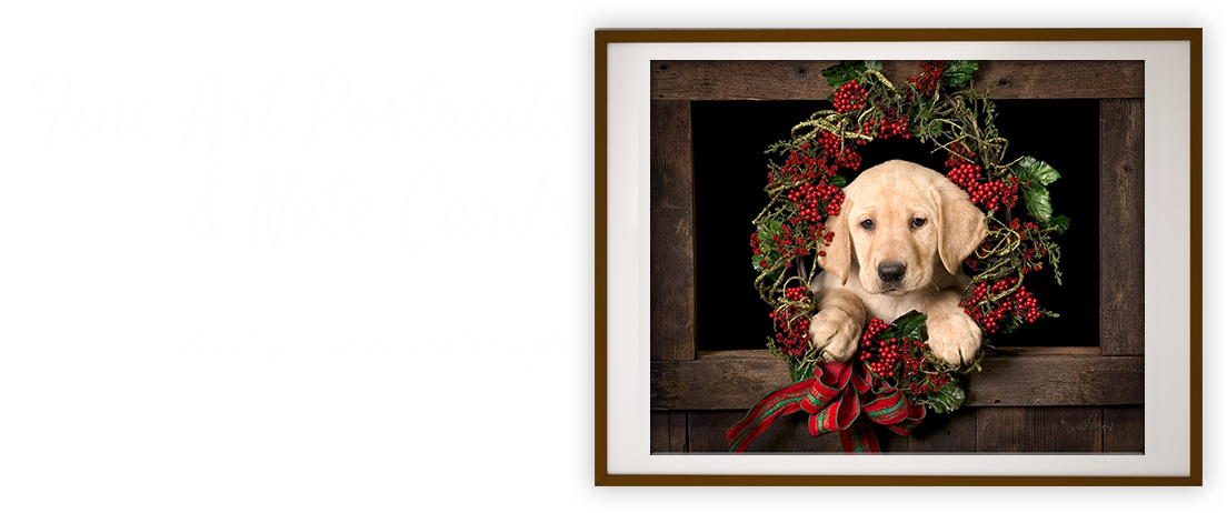 Home - Cocker Spaniel Clipart (1120x508), Png Download