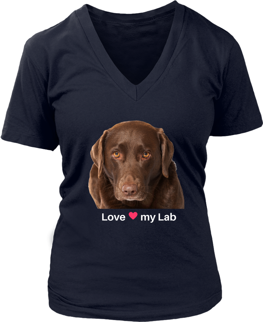 Chocolate Lab Contour Women's V-neck Shirt - T-shirt Clipart (1024x1024), Png Download