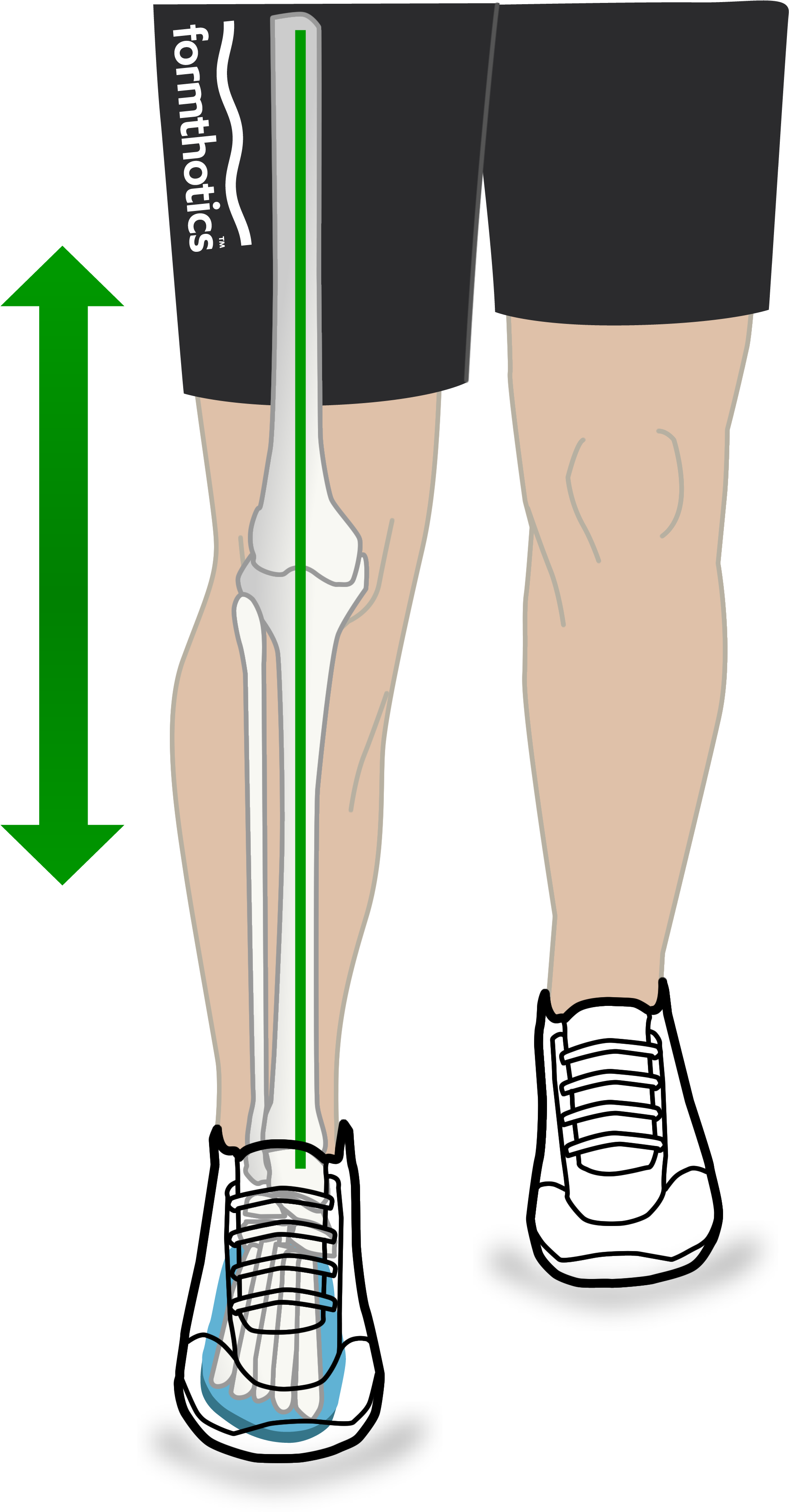 Mechanical Efficiency Diagram Walking Green Clipart (2228x3702), Png Download