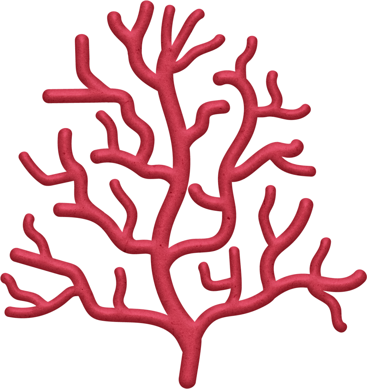 View large size Фотки Coral Drawing, Under The Sea Clipart, Clip Art - Tran...