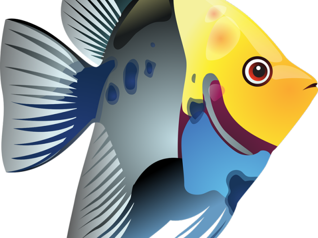Marine Fish Clipart Coral Fish - Fish Png Vector Transparent Png (640x480), Png Download