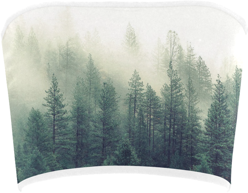 Christmas Tree Clipart (1000x1000), Png Download