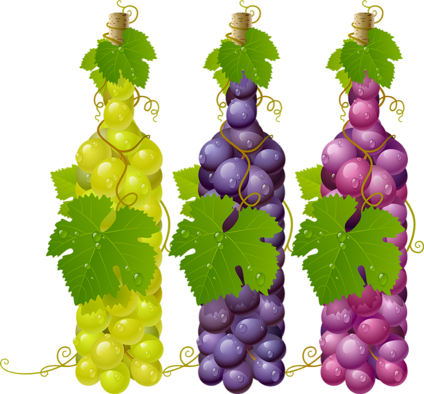 Grapes Vector , Png Download - Wine Grape Leaves Png Clipart (860x800), Png Download