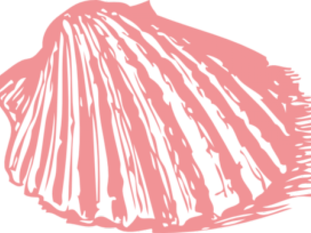 Clipart Wallpaper Blink - Shell Clip Art - Png Download (640x480), Png Download