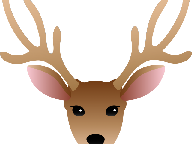 Drawn Moose Horns - Deer Head Clipart Png Transparent Png (640x480), Png Download