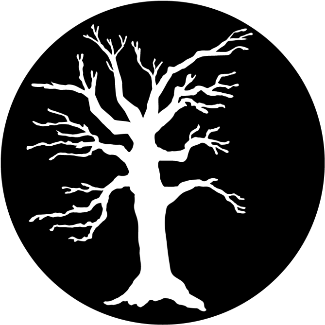 Scary Tree - Tree Clipart (800x800), Png Download