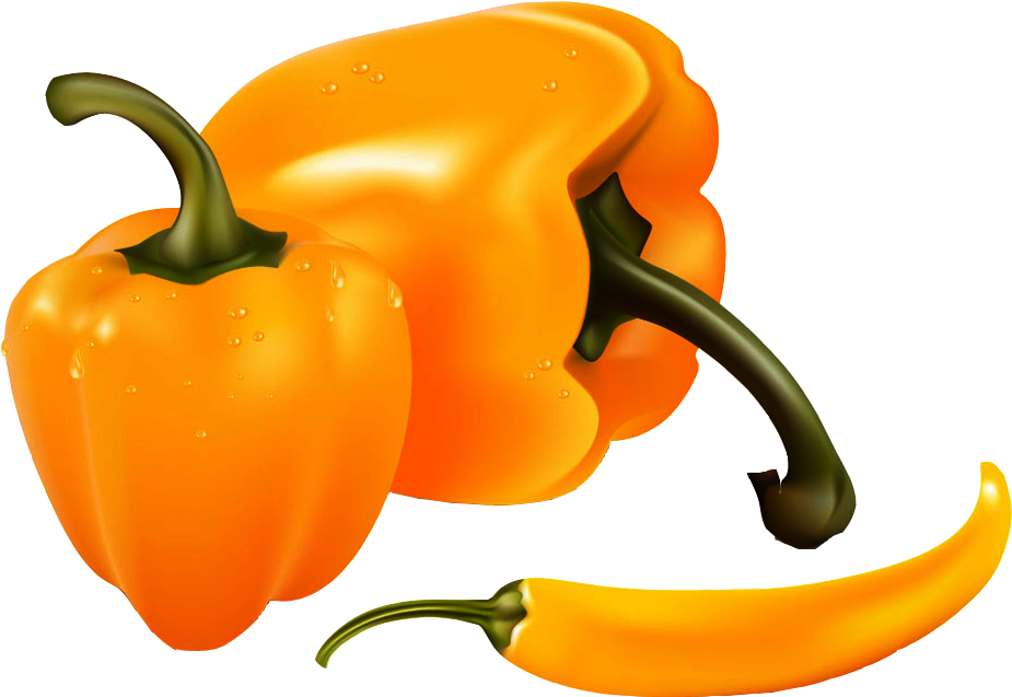 Bell Banana Clip Art Persimmon Vector - Scotch Bonnet Pepper With Transparent Background - Png Download (1000x992), Png Download