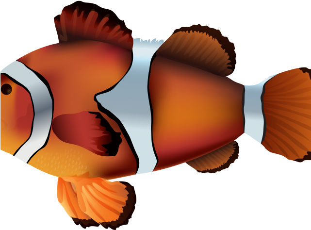 Clownfish Adorable Free On Dumielauxepices Net Onyx - Pez Payaso Transparents Clipart (640x480), Png Download