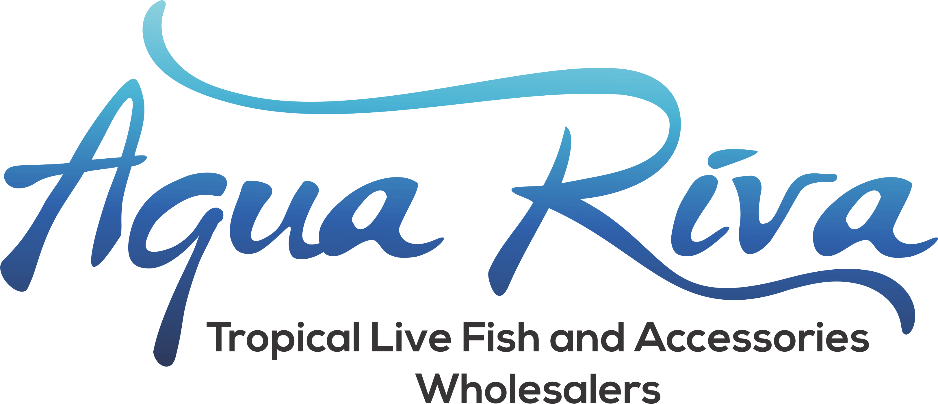 Calligraphy Clipart (3247x1398), Png Download