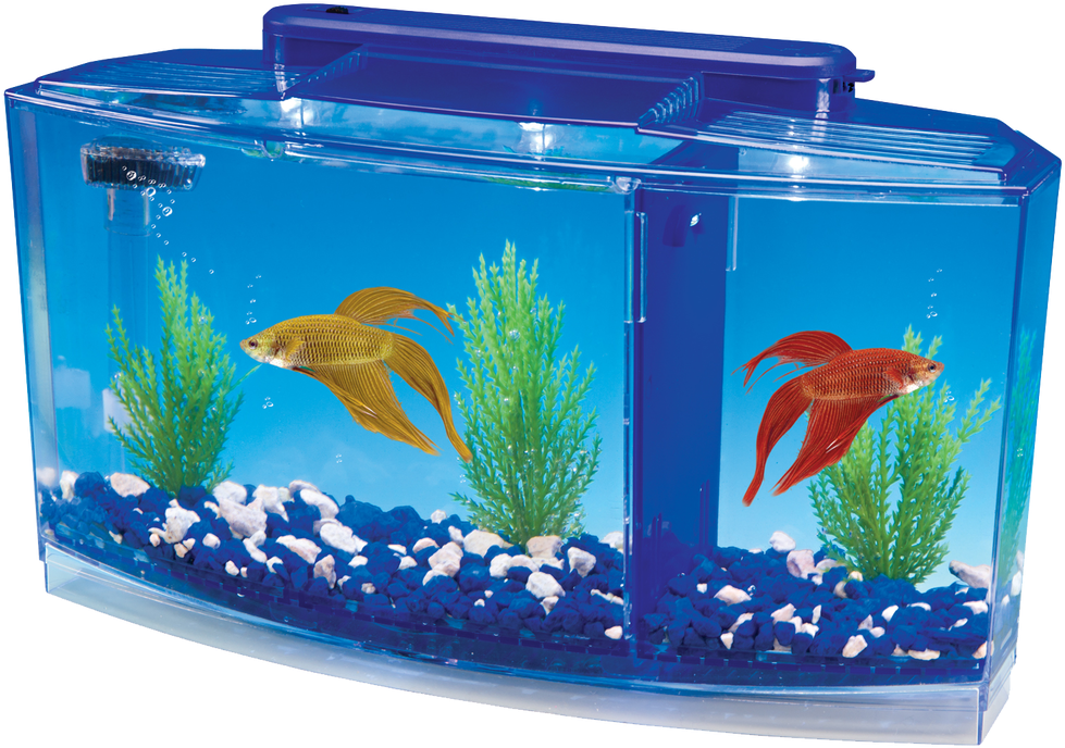 Betta Aquarium Kit With Led Lighting Clipart (1078x800), Png Download