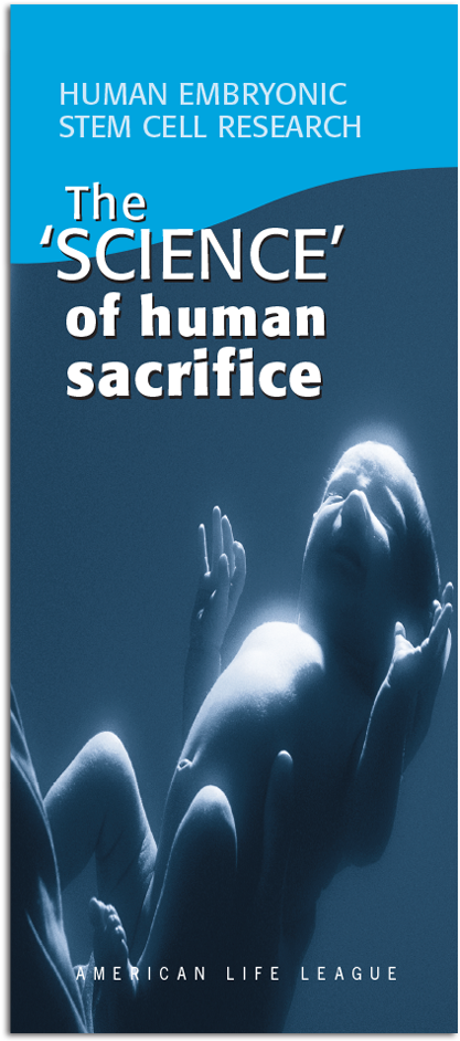 Book Cover Clipart (819x1024), Png Download