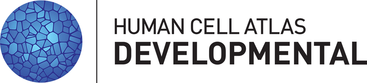 Human Action Clipart (1200x272), Png Download