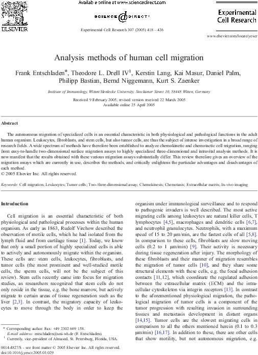 Pdf - Rebel Years – The Art Against Military Dictatorship Clipart (595x794), Png Download